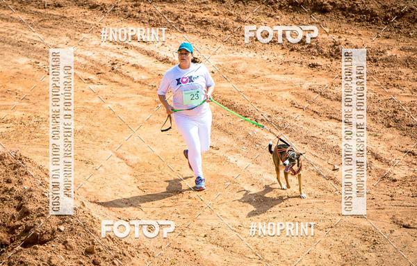 Buy your photos of the eventTreino Premiado de Canicross on Fotop