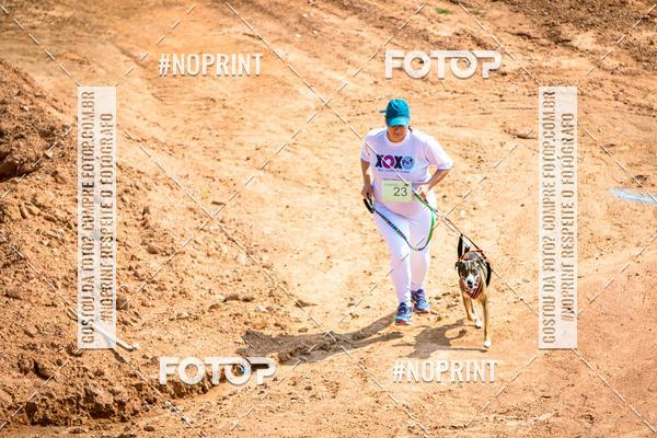 Buy your photos of the eventTreino Premiado de Canicross on Fotop