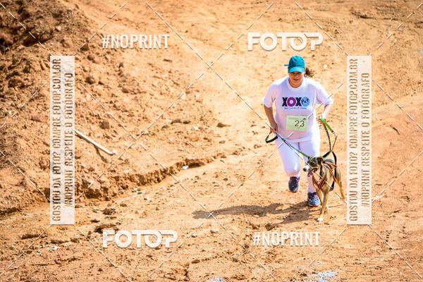Buy your photos of the eventTreino Premiado de Canicross on Fotop