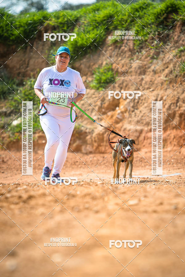 Buy your photos of the eventTreino Premiado de Canicross on Fotop