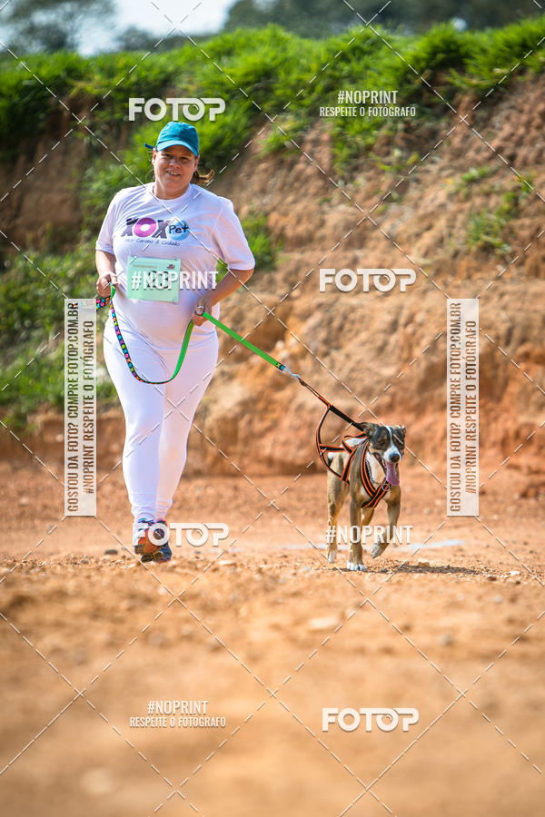 Buy your photos of the eventTreino Premiado de Canicross on Fotop