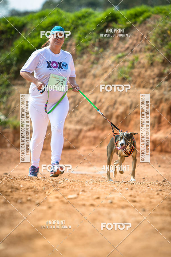 Buy your photos of the eventTreino Premiado de Canicross on Fotop