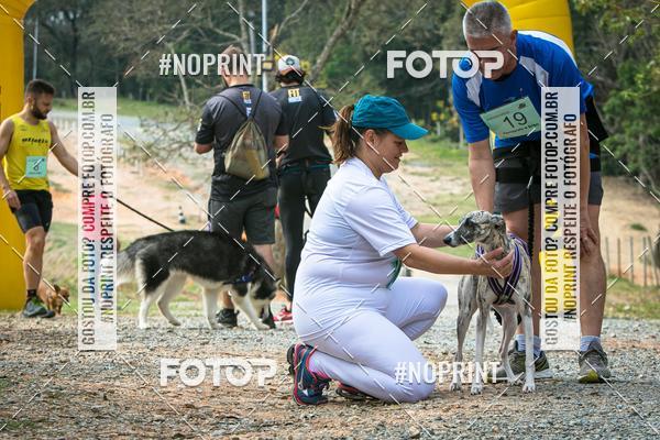 Compre as suas fotos do eventoTreino Premiado de Canicross no Fotop