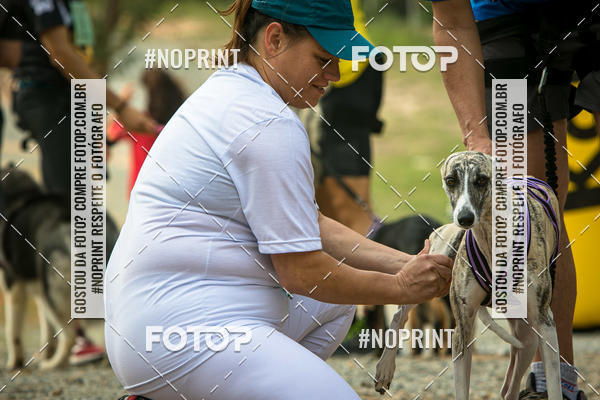 Compre as suas fotos do eventoTreino Premiado de Canicross no Fotop
