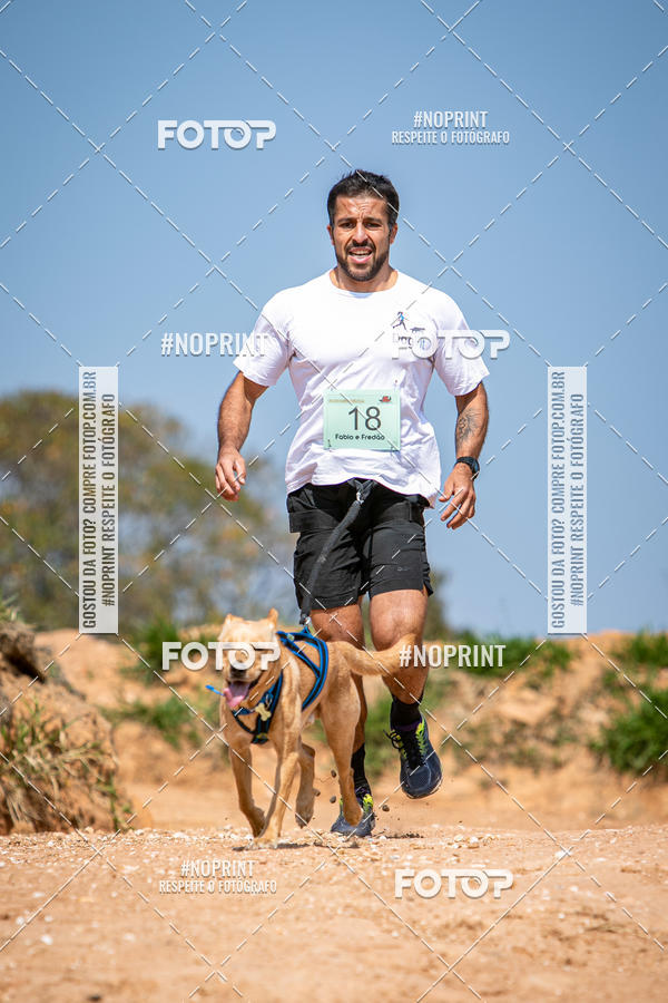 Achetez vos photos de l'vnementTreino Premiado de Canicross sur Fotop