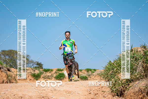 Achetez vos photos de l'vnementTreino Premiado de Canicross sur Fotop