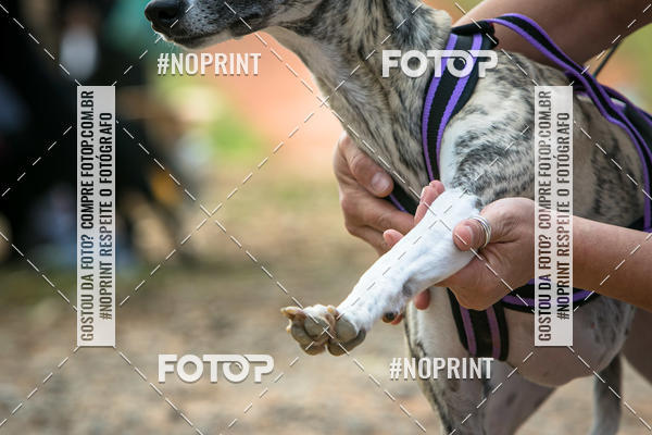 Compre as suas fotos do eventoTreino Premiado de Canicross no Fotop