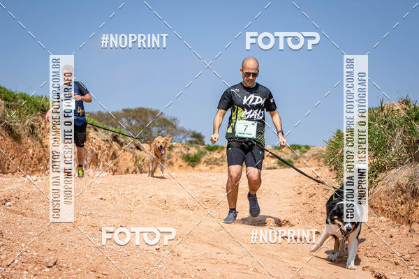 Achetez vos photos de l'vnementTreino Premiado de Canicross sur Fotop