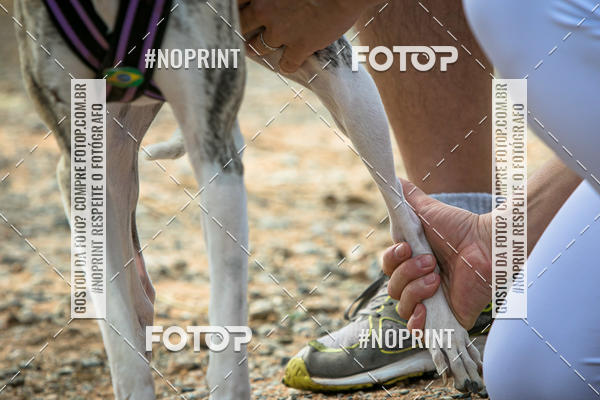 Compre as suas fotos do eventoTreino Premiado de Canicross no Fotop
