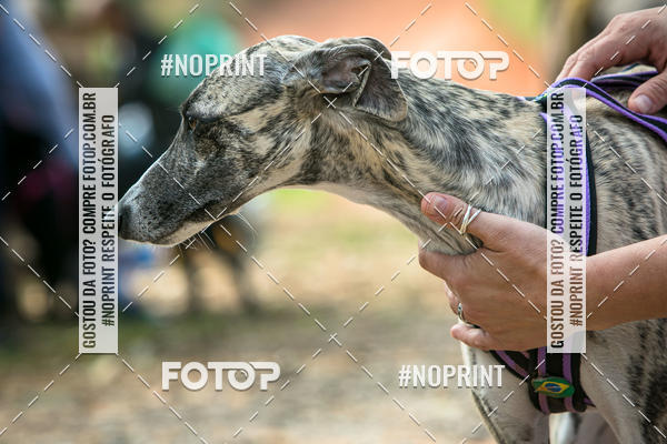 Compra tus fotos del eventoTreino Premiado de Canicross En Fotop