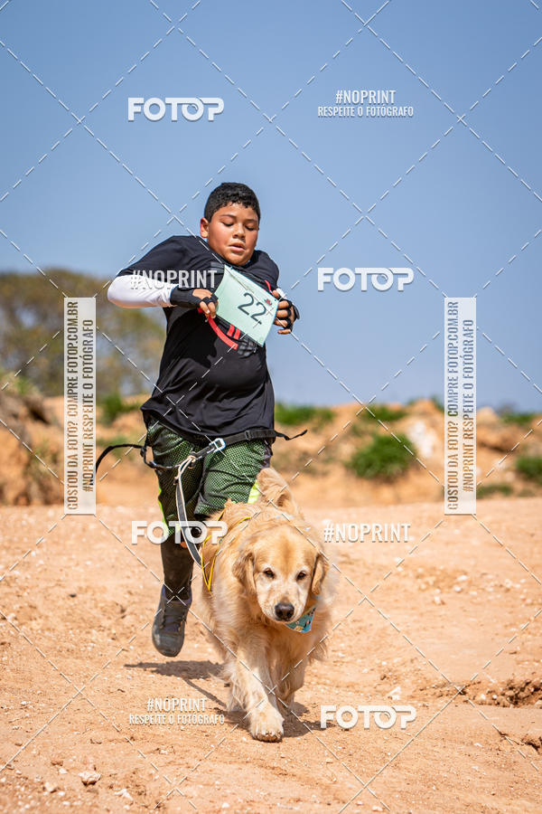 Achetez vos photos de l'vnementTreino Premiado de Canicross sur Fotop