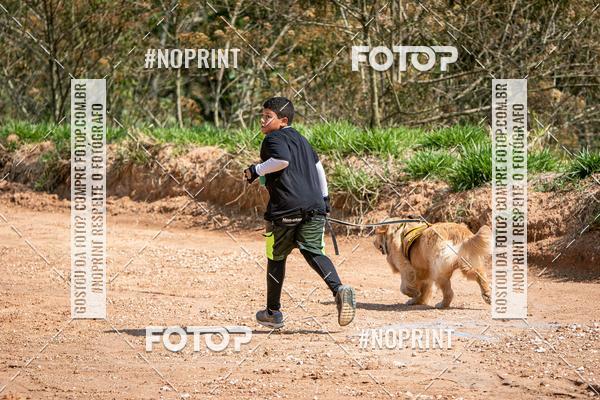 Achetez vos photos de l'vnementTreino Premiado de Canicross sur Fotop