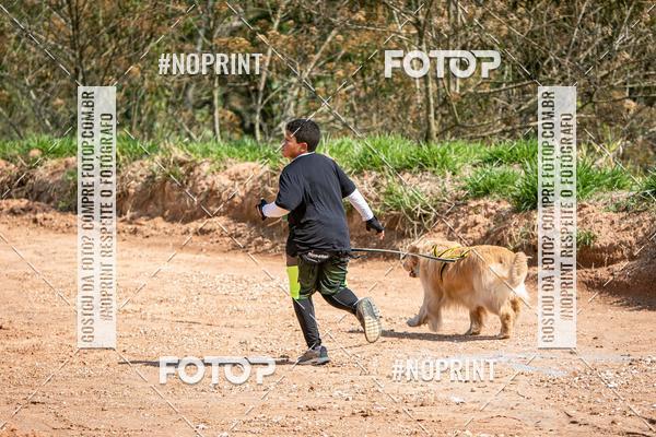 Achetez vos photos de l'vnementTreino Premiado de Canicross sur Fotop