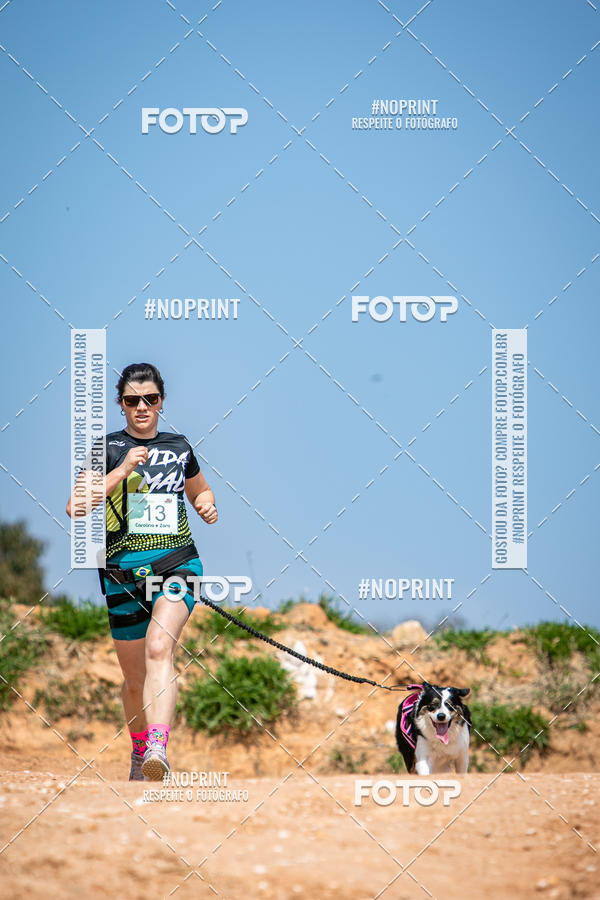 Achetez vos photos de l'vnementTreino Premiado de Canicross sur Fotop