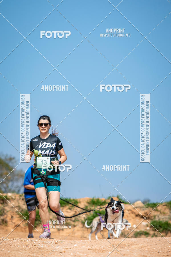 Achetez vos photos de l'vnementTreino Premiado de Canicross sur Fotop