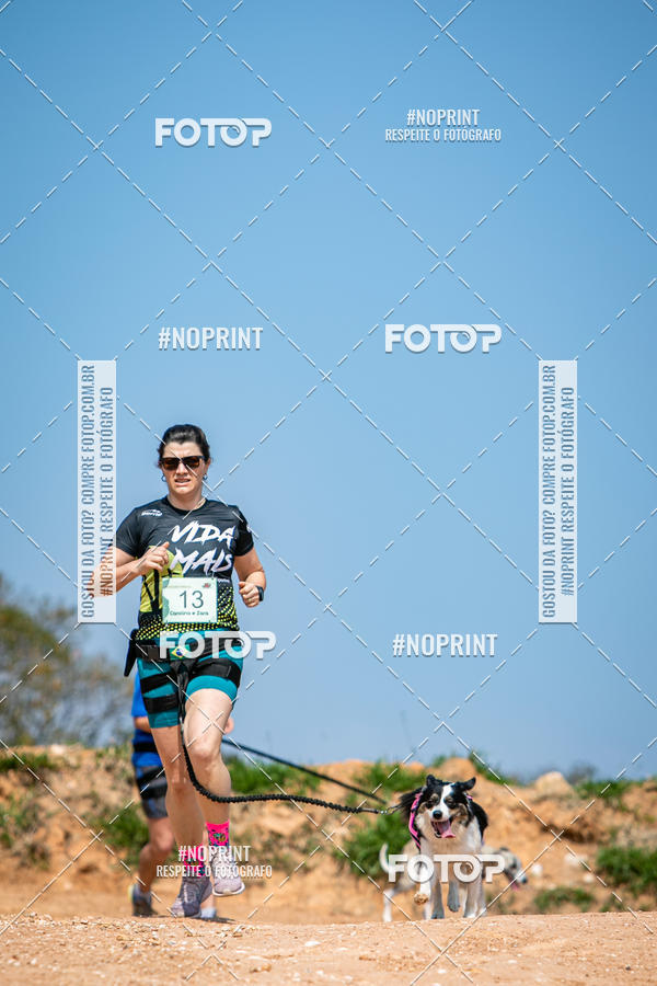 Achetez vos photos de l'vnementTreino Premiado de Canicross sur Fotop