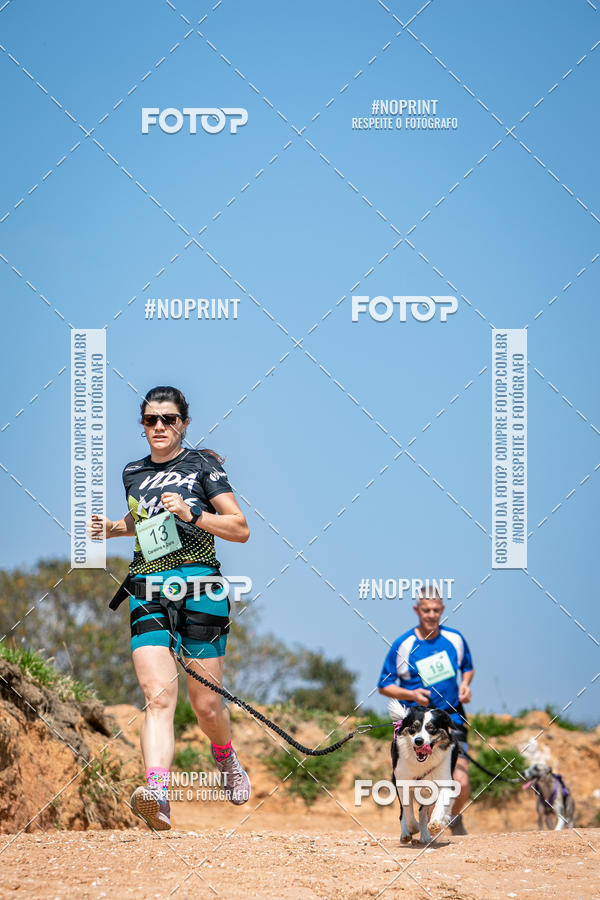 Achetez vos photos de l'vnementTreino Premiado de Canicross sur Fotop