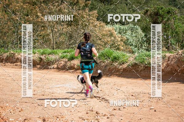 Achetez vos photos de l'vnementTreino Premiado de Canicross sur Fotop