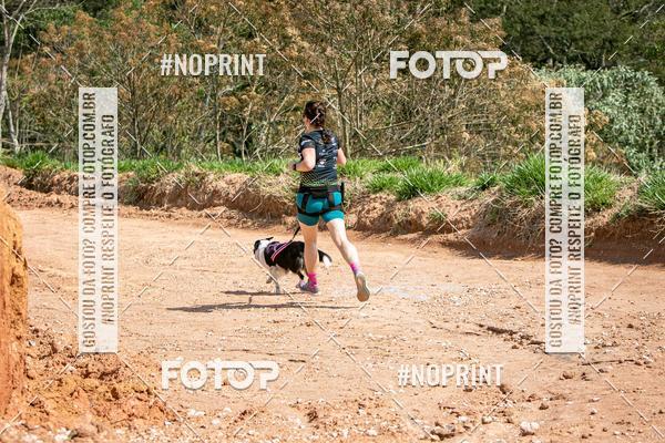 Achetez vos photos de l'vnementTreino Premiado de Canicross sur Fotop