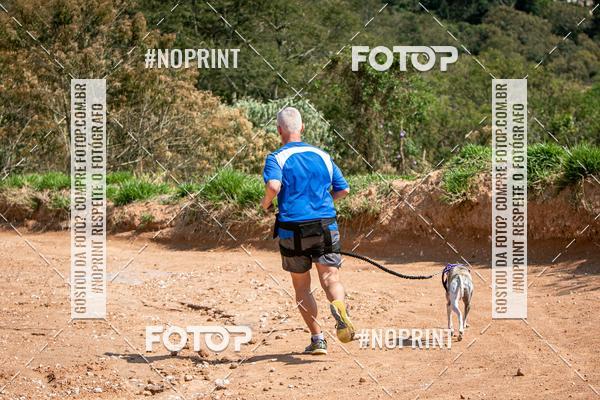 Achetez vos photos de l'vnementTreino Premiado de Canicross sur Fotop