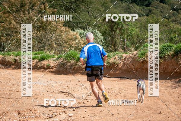 Achetez vos photos de l'vnementTreino Premiado de Canicross sur Fotop