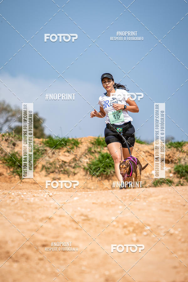 Achetez vos photos de l'vnementTreino Premiado de Canicross sur Fotop