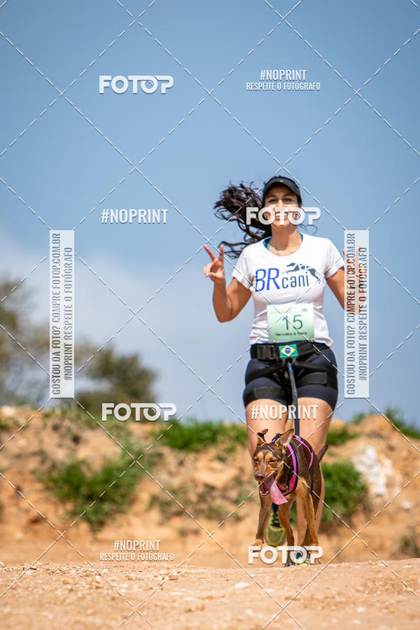 Achetez vos photos de l'vnementTreino Premiado de Canicross sur Fotop
