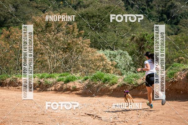 Achetez vos photos de l'vnementTreino Premiado de Canicross sur Fotop