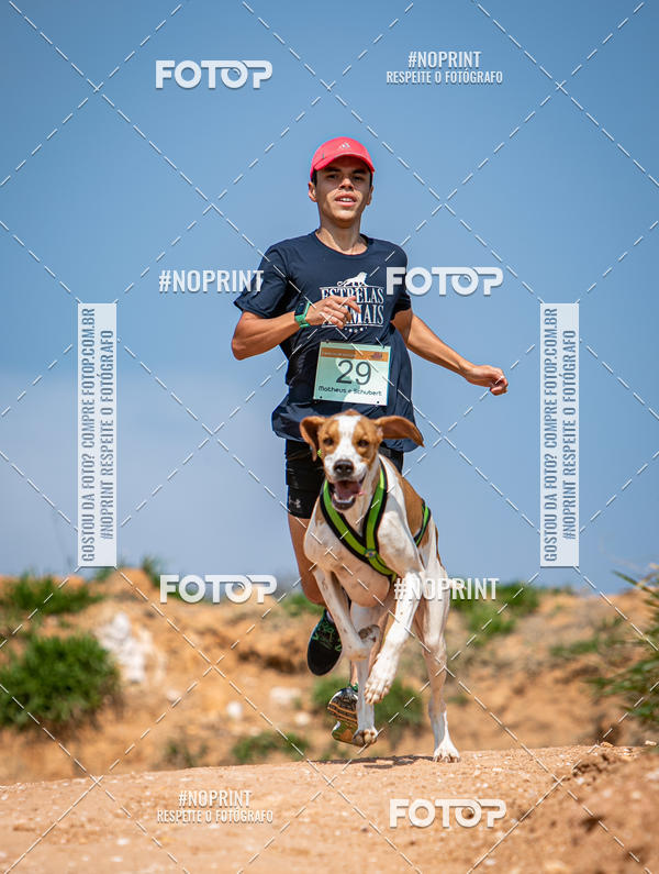 Compre as suas fotos do eventoTreino Premiado de Canicross no Fotop