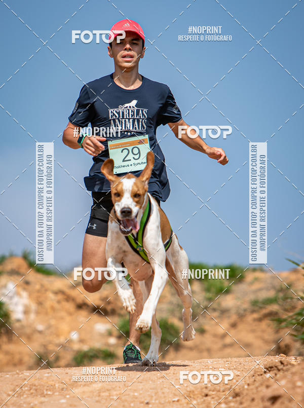 Compre as suas fotos do eventoTreino Premiado de Canicross no Fotop