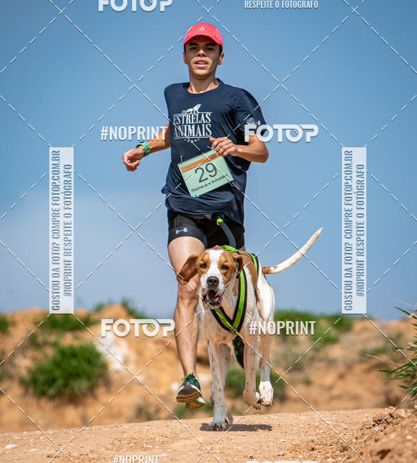 Compre as suas fotos do eventoTreino Premiado de Canicross no Fotop