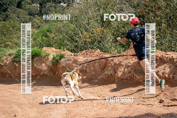 Compre as suas fotos do eventoTreino Premiado de Canicross no Fotop