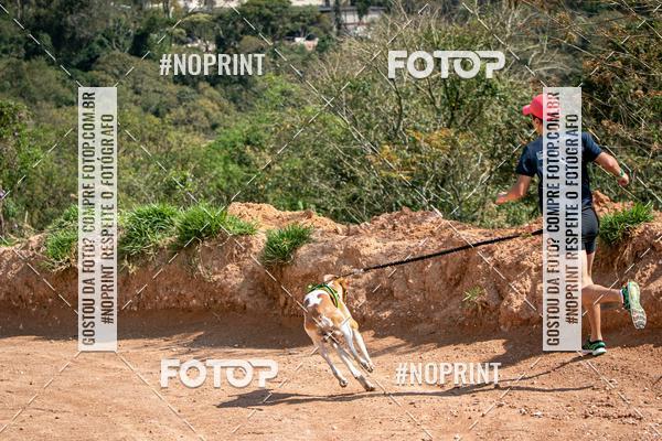 Compre as suas fotos do eventoTreino Premiado de Canicross no Fotop