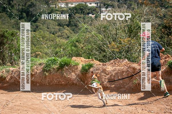 Compre as suas fotos do eventoTreino Premiado de Canicross no Fotop