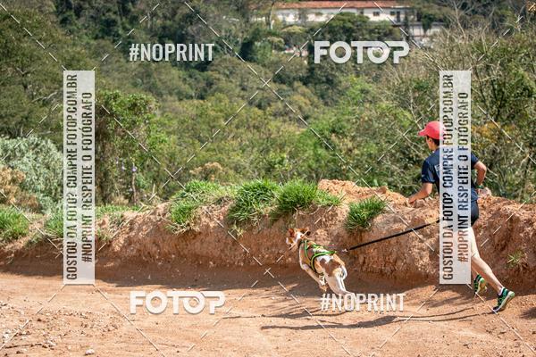 Compre as suas fotos do eventoTreino Premiado de Canicross no Fotop