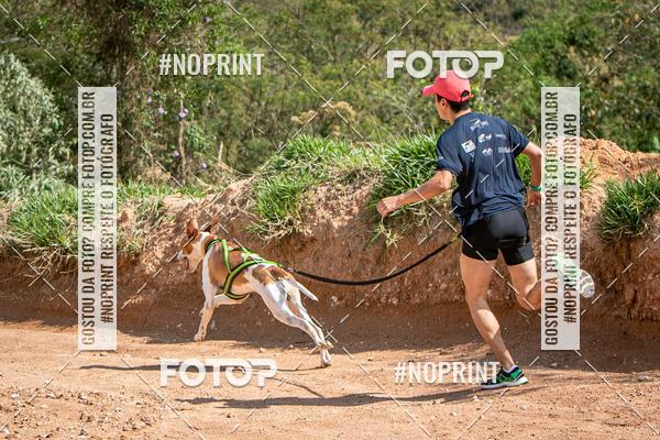 Compre as suas fotos do eventoTreino Premiado de Canicross no Fotop