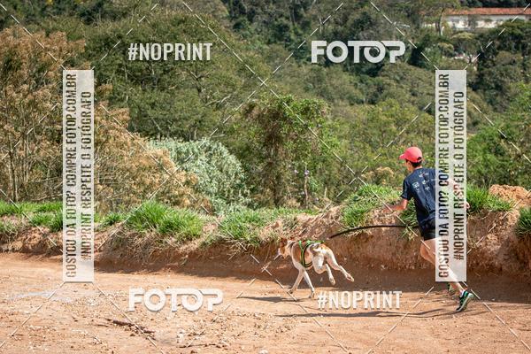 Achetez vos photos de l'vnementTreino Premiado de Canicross sur Fotop