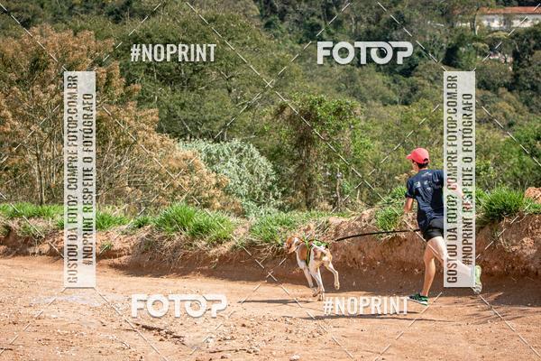 Achetez vos photos de l'vnementTreino Premiado de Canicross sur Fotop
