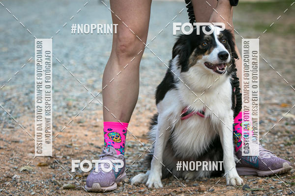 Compra tus fotos del eventoTreino Premiado de Canicross En Fotop