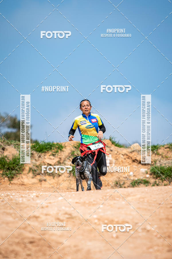 Achetez vos photos de l'vnementTreino Premiado de Canicross sur Fotop