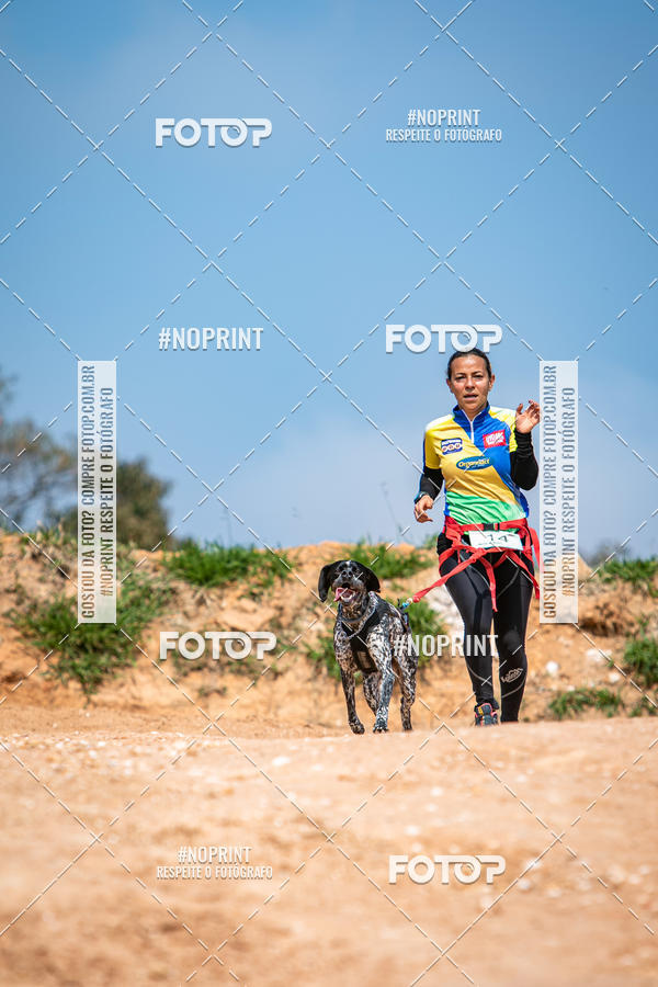 Achetez vos photos de l'vnementTreino Premiado de Canicross sur Fotop