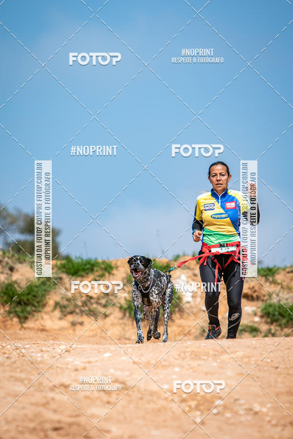 Achetez vos photos de l'vnementTreino Premiado de Canicross sur Fotop