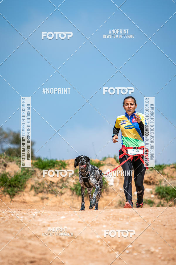 Achetez vos photos de l'vnementTreino Premiado de Canicross sur Fotop