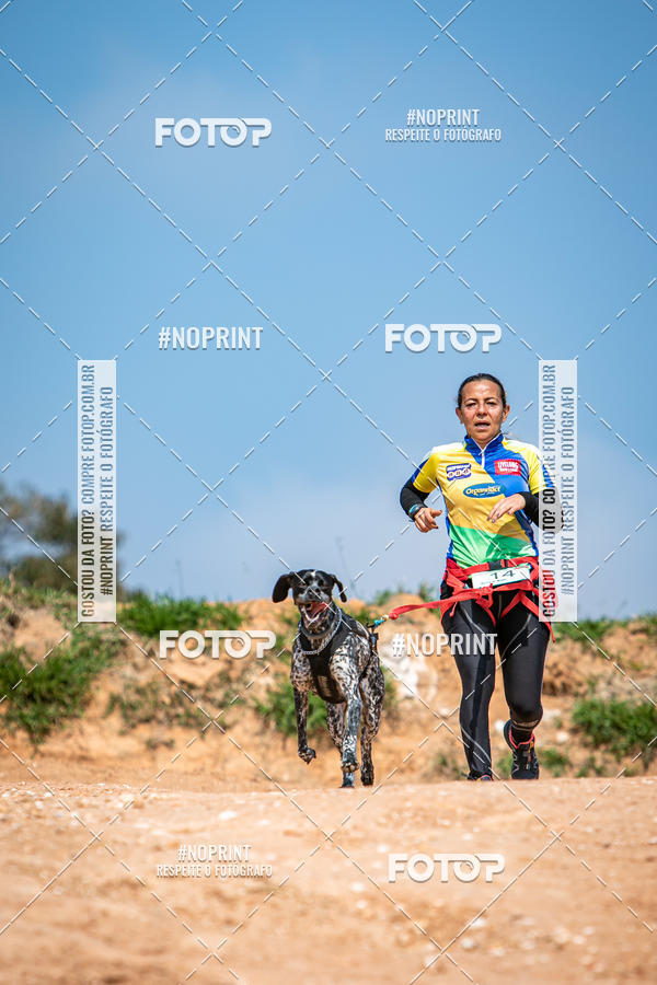 Achetez vos photos de l'vnementTreino Premiado de Canicross sur Fotop