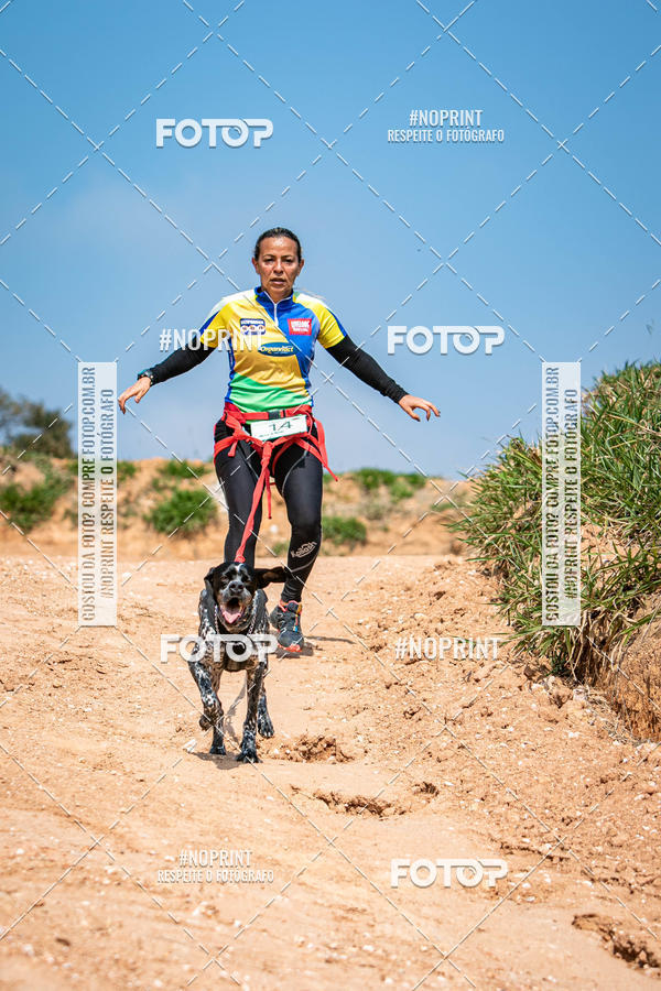 Achetez vos photos de l'vnementTreino Premiado de Canicross sur Fotop