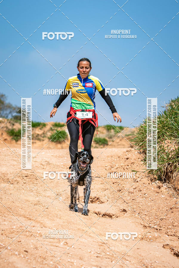 Achetez vos photos de l'vnementTreino Premiado de Canicross sur Fotop