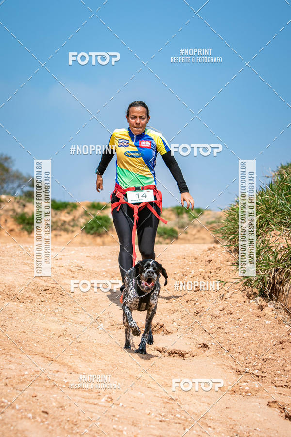 Achetez vos photos de l'vnementTreino Premiado de Canicross sur Fotop