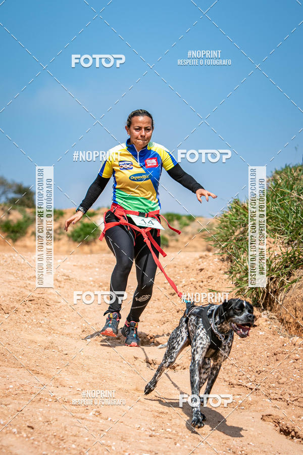 Achetez vos photos de l'vnementTreino Premiado de Canicross sur Fotop