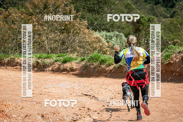 Achetez vos photos de l'vnementTreino Premiado de Canicross sur Fotop