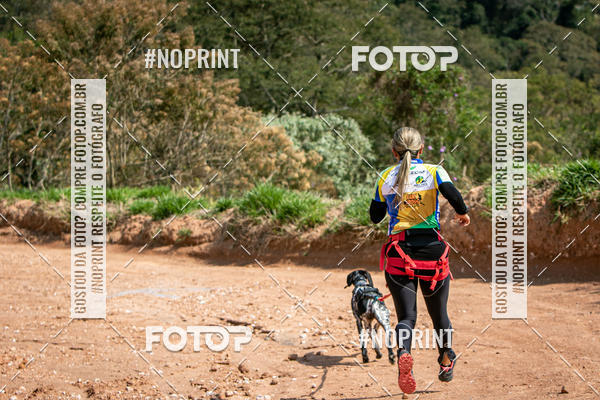 Achetez vos photos de l'vnementTreino Premiado de Canicross sur Fotop